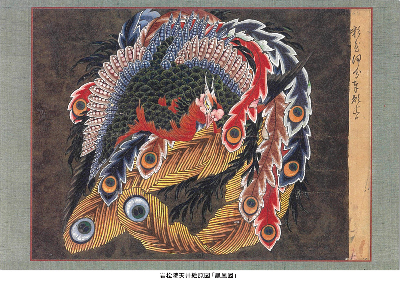 岩松院天井絵原図「鳳凰図」​
