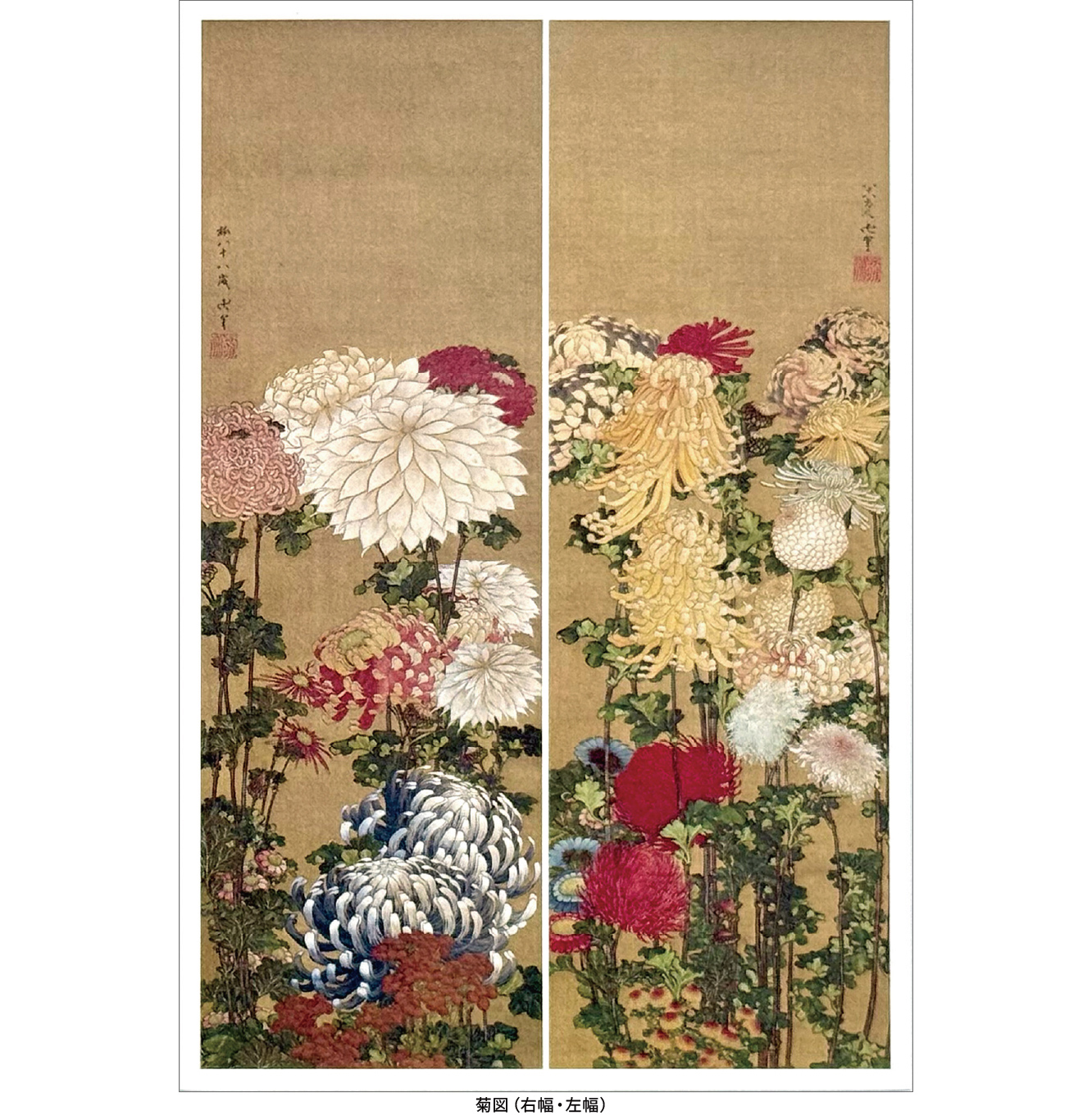 菊図​